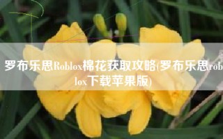 罗布乐思Roblox棉花获取攻略(罗布乐思roblox下载苹果版)