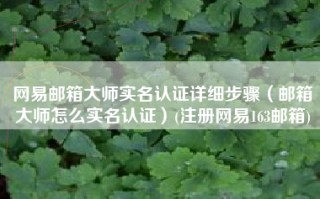 网易邮箱大师实名认证详细步骤（邮箱大师怎么实名认证）(注册网易163邮箱)