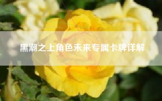 黑潮之上角色未来专属卡牌详解