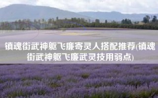 镇魂街武神躯飞廉寄灵人搭配推荐(镇魂街武神躯飞廉武灵技用弱点)