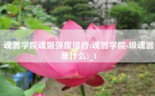 魂器学院魂姬强度排行(魂器学院s级魂器是什么)_1