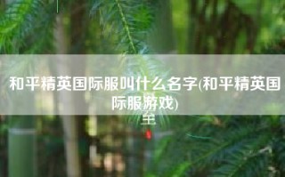 和平精英国际服叫什么名字(和平精英国际服游戏)