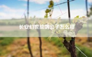 长安幻世绘剑公子怎么样