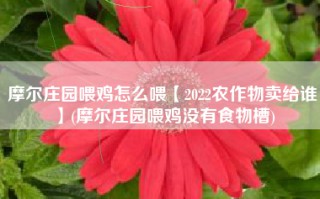 摩尔庄园喂鸡怎么喂【2022农作物卖给谁】(摩尔庄园喂鸡没有食物槽)
