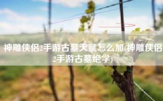 神雕侠侣2手游古墓天赋怎么加(神雕侠侣2手游古墓绝学)