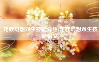 龙族幻想双生技能介绍(龙族幻想双生技能铭文)