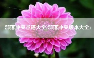 部落冲突术语大全(部落冲突版本大全)