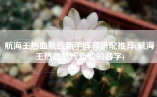 航海王热血航线新手阵容搭配推荐(航海王热血航线新船的名字)