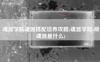 魂器学院魂器搭配培养攻略(魂器学院s级魂器是什么)