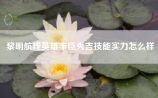 黎明航线英雄丰臣秀吉技能实力怎么样
