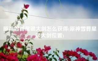 原神雪葬星银大剑怎么获得(原神雪葬星银大剑位置)