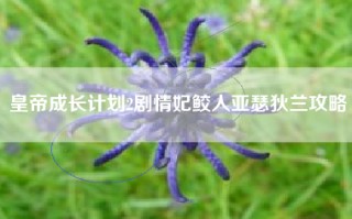 皇帝成长计划2剧情妃鲛人亚瑟狄兰攻略