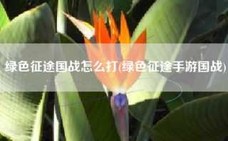 绿色征途国战怎么打(绿色征途手游国战)