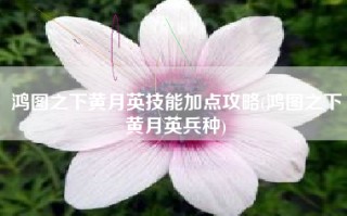 鸿图之下黄月英技能加点攻略(鸿图之下黄月英兵种)
