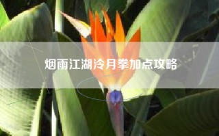 烟雨江湖泠月拳加点攻略
