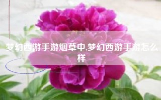 梦幻西游手游烟草中,梦幻西游手游怎么样