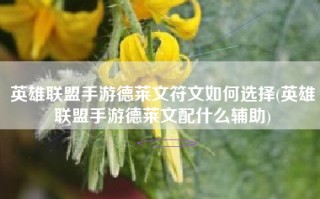 英雄联盟手游德莱文符文如何选择(英雄联盟手游德莱文配什么辅助)