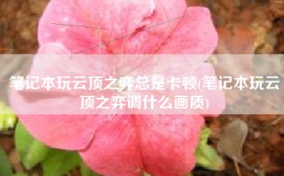 笔记本玩云顶之弈总是卡顿(笔记本玩云顶之弈调什么画质)