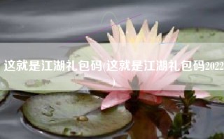 这就是江湖礼包码(这就是江湖礼包码2022)