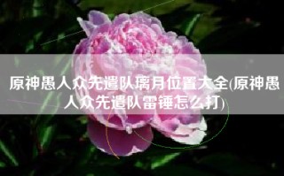 原神愚人众先遣队璃月位置大全(原神愚人众先遣队雷锤怎么打)