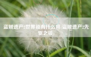 盗贼遗产2世界锁有什么用(盗贼遗产2先驱之锁)