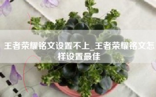 王者荣耀铭文设置不上_王者荣耀铭文怎样设置最佳