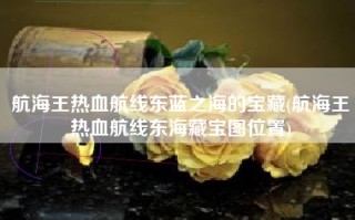 航海王热血航线东蓝之海的宝藏(航海王热血航线东海藏宝图位置)