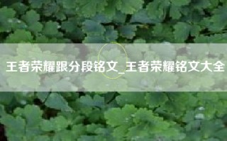 王者荣耀跟分段铭文_王者荣耀铭文大全