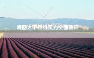 鸿图之下姜维实力全面测评