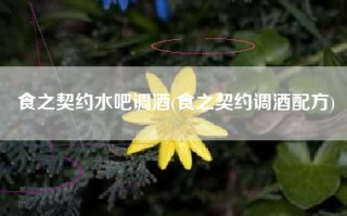 食之契约水吧调酒(食之契约调酒配方)