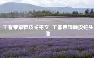王者荣耀赖皮蛇铭文_王者荣耀赖皮蛇头像