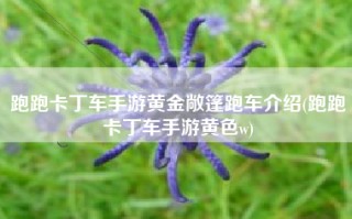 跑跑卡丁车手游黄金敞篷跑车介绍(跑跑卡丁车手游黄色w)