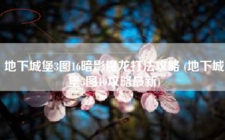 地下城堡3图16暗影魔龙打法攻略 (地下城堡3图10攻略最新)