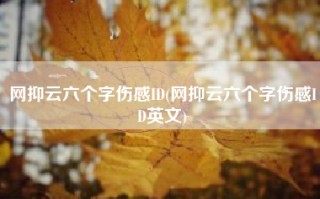 网抑云六个字伤感ID(网抑云六个字伤感ID英文)