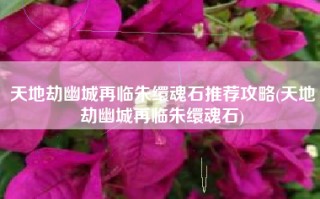 天地劫幽城再临朱缳魂石推荐攻略(天地劫幽城再临朱缳魂石)