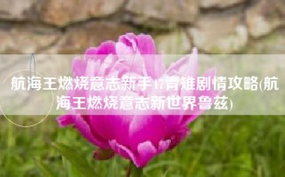 航海王燃烧意志新手47青雉剧情攻略(航海王燃烧意志新世界鲁兹)