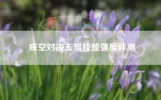 疾空对决玉鸳技能强度评测