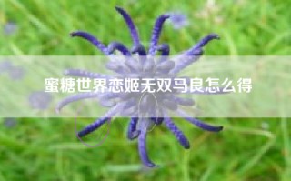 蜜糖世界恋姬无双马良怎么得