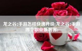 龙之谷2手游怎样快速升级(龙之谷2手游哪个职业最厉害)