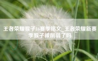 王者荣耀猴子16赛季铭文_王者荣耀新赛季猴子被削弱了吗