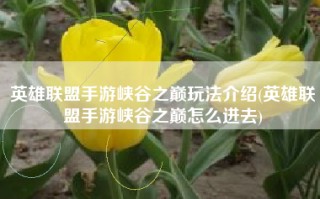 英雄联盟手游峡谷之巅玩法介绍(英雄联盟手游峡谷之巅怎么进去)