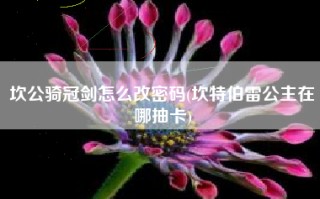 坎公骑冠剑怎么改密码(坎特伯雷公主在哪抽卡)