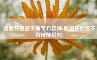 邂逅在迷宫主角宝石选择(邂逅在迷宫主角技能搭配)