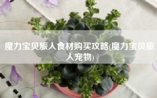 魔力宝贝旅人食材购买攻略(魔力宝贝旅人宠物)