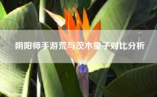阴阳师手游荒与茨木童子对比分析