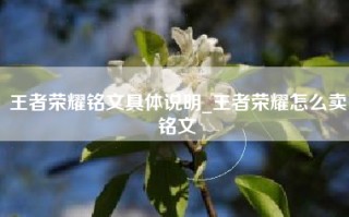王者荣耀铭文具体说明_王者荣耀怎么卖铭文