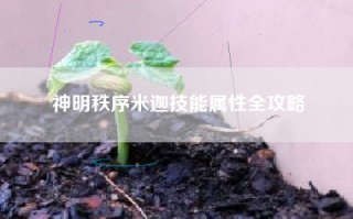 神明秩序米迦技能属性全攻略