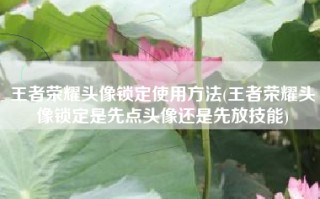 王者荣耀头像锁定使用方法(王者荣耀头像锁定是先点头像还是先放技能)