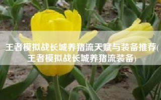 王者模拟战长城养猪流天赋与装备推荐(王者模拟战长城养猪流装备)