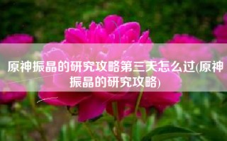 原神振晶的研究攻略第三天怎么过(原神振晶的研究攻略)